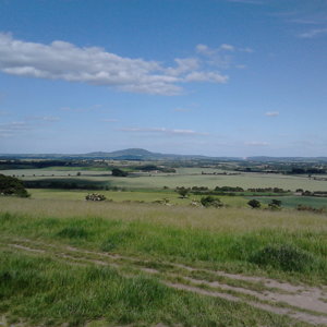 DSC0001109.jpg
