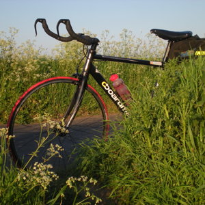 New red tyres in the greenary