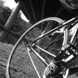 Fixie under the Thelwall M.6 viaduct