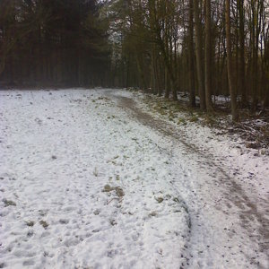 paths are still wintery