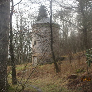 the tower in the woods