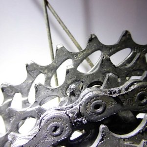 Sprockets