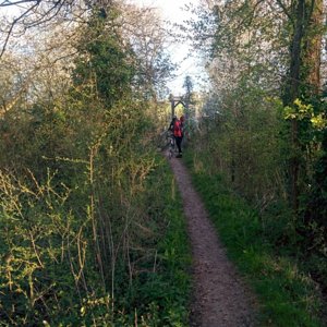 South Downs Way