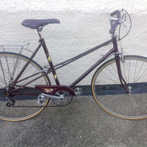 Raleigh Misty Mixte