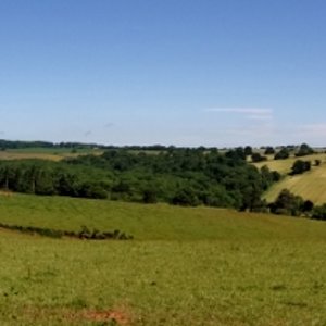 The Quantock Hills