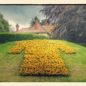 Yellow Jersey - Yorkshire Style