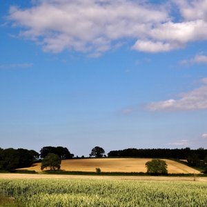 Near Staple Fitzpaine