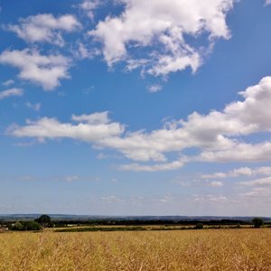 Nr Thurloxten on the edge of the Quantock Hills