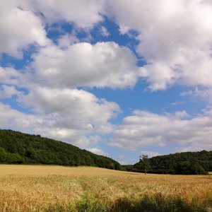 The Vale of Taunton Deane