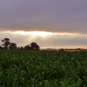 Damp clouds interfering with the promised sunshine