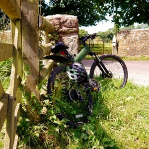 Roadside bike (light and shadow)