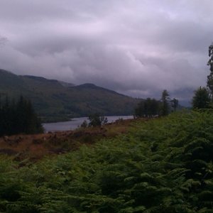 Invertrossachs2 (640x403).jpg