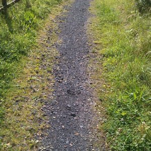 Track to Balloch.jpg