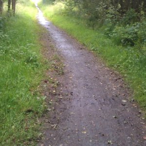 trail to Balloch.jpg