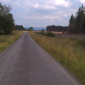 Path to Aberfoyle3 (640x427).jpg