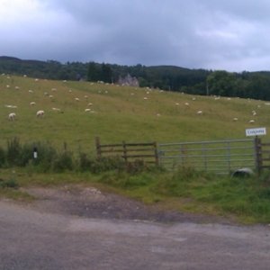 Hill towards Pitlochry.jpg