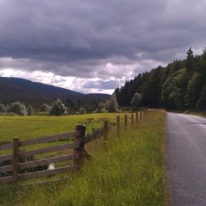 Scenic path to Newtonmore.jpg