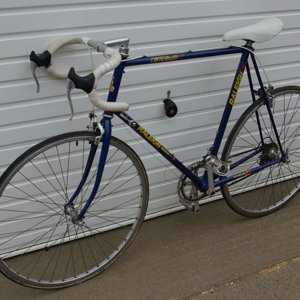 Raleigh Refurb 2