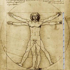 Vitruvian Man with cranks