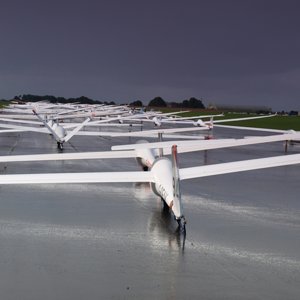Flock of gliders
