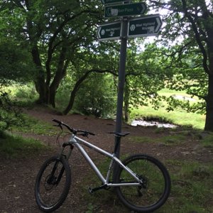 Mugdock Country Park,Milngavie