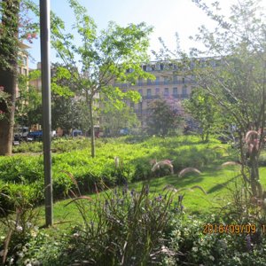 Toulouse city centre - Capitole park