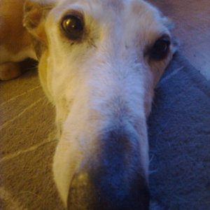 Look at that nose