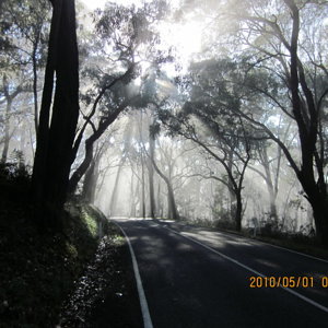 Macclesfield Rd, Macclesfield, east of Mt Dandenong