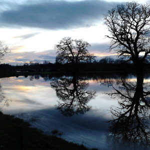 Atcham Sunset