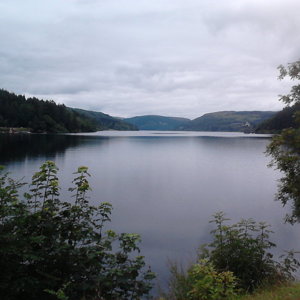 Vyrnwy