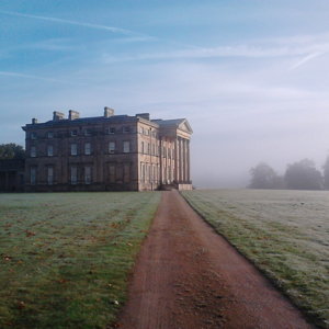 Attingham fog bank