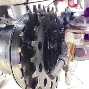 Nexus 7-Speed Hub with 24t & 26t sprockets