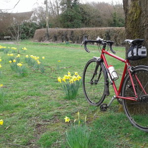 Fixed spring ride