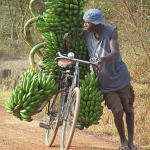 Banana bike