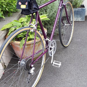 Purple raleigh 8