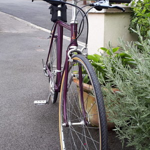 Purple raleigh 6