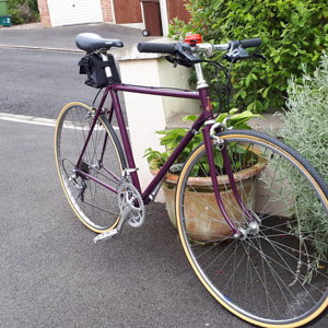 Purple raleigh 2