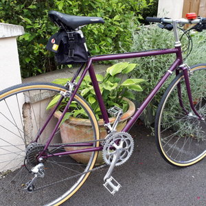 Purple raleigh 1