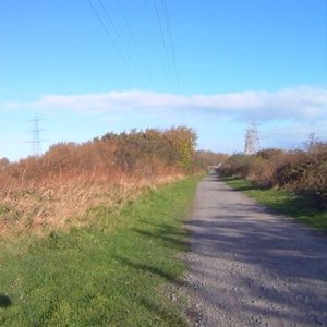 Cycle track, Boldon