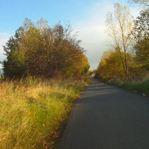 Cycle Track - Washington, Nissan