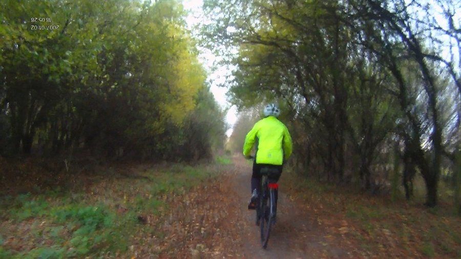 17/11/2017 1 Boldon Colliery, Tilesheds Nature Reserve