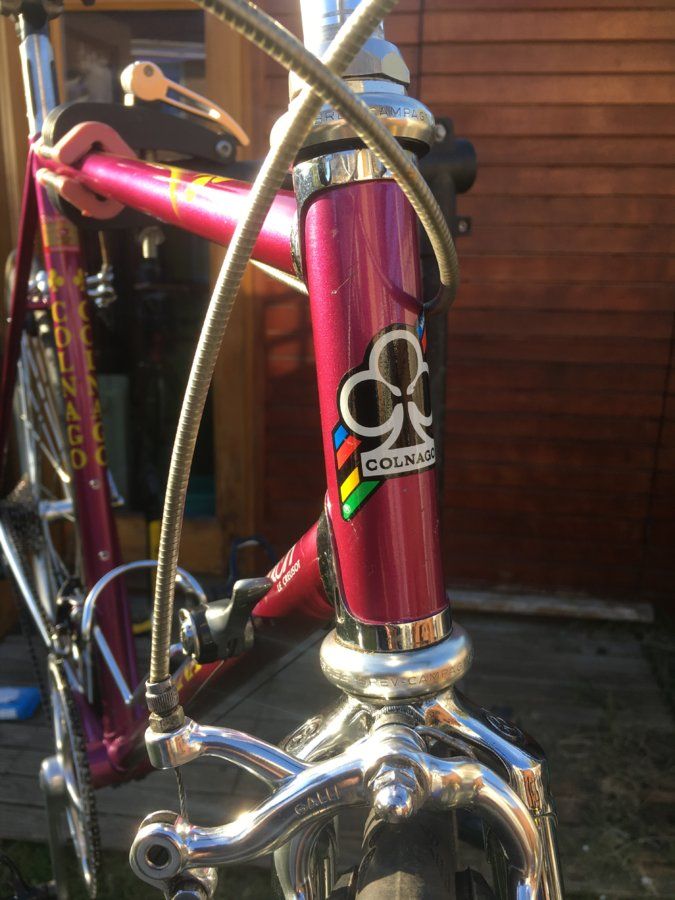 90s Colnago Decor