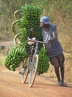 Banana bike