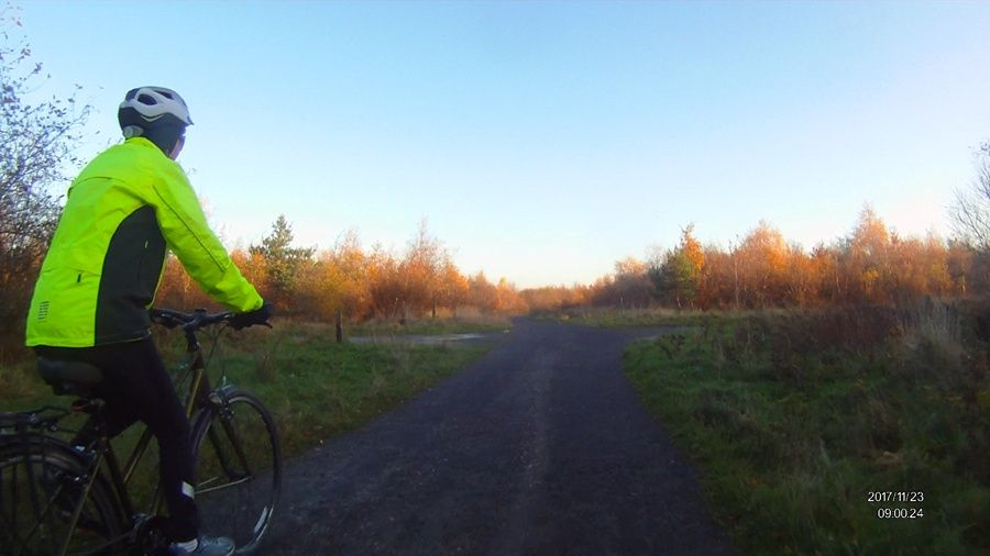 Boldon - Colliery Wood