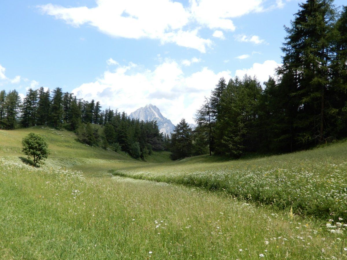 Col d'Albanne