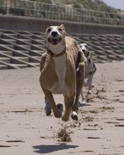 Crosby Beach