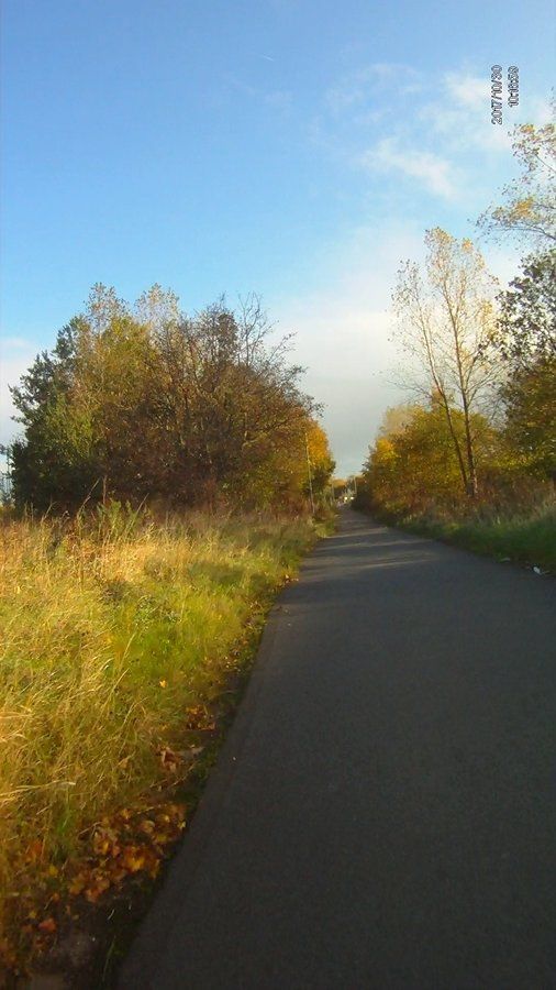 Cycle Track - Washington, Nissan