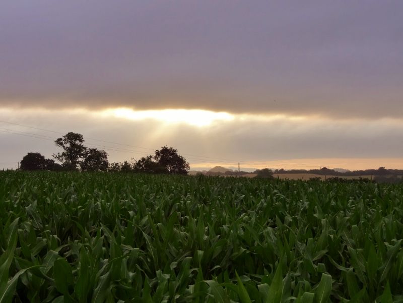 Damp clouds interfering with the promised sunshine