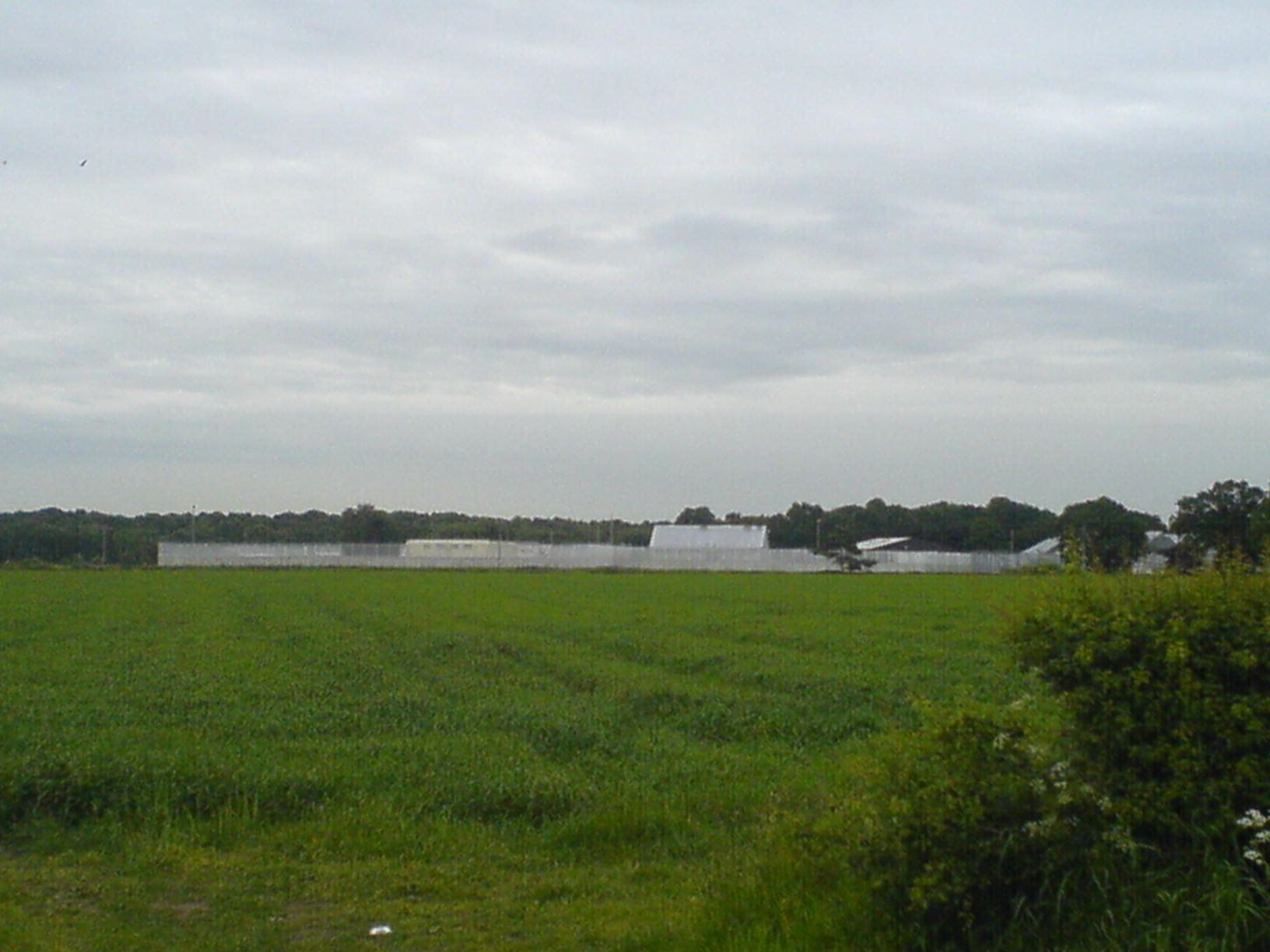 DSC01543.JPG