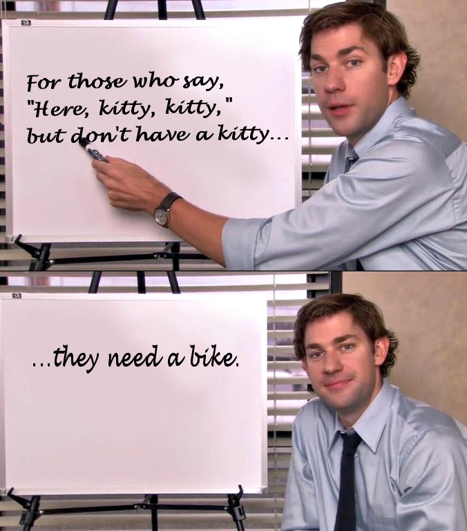 Everyone needs a bike